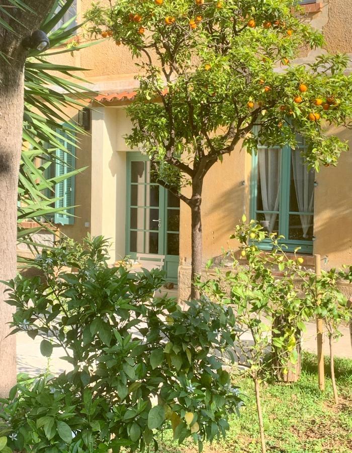 La Villa Des Amandiers Йер Экстерьер фото